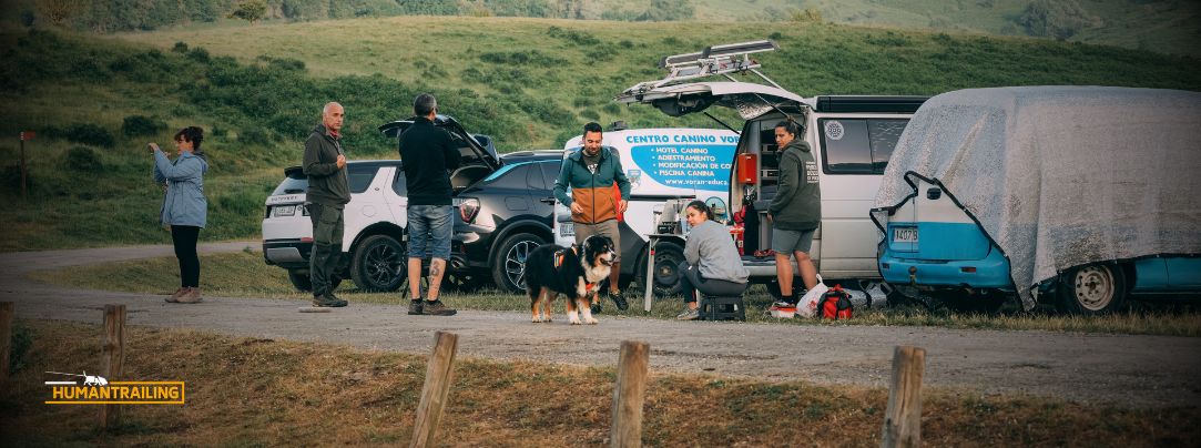 Mantrailing terapéutico beneficios perros reactivos Alicante