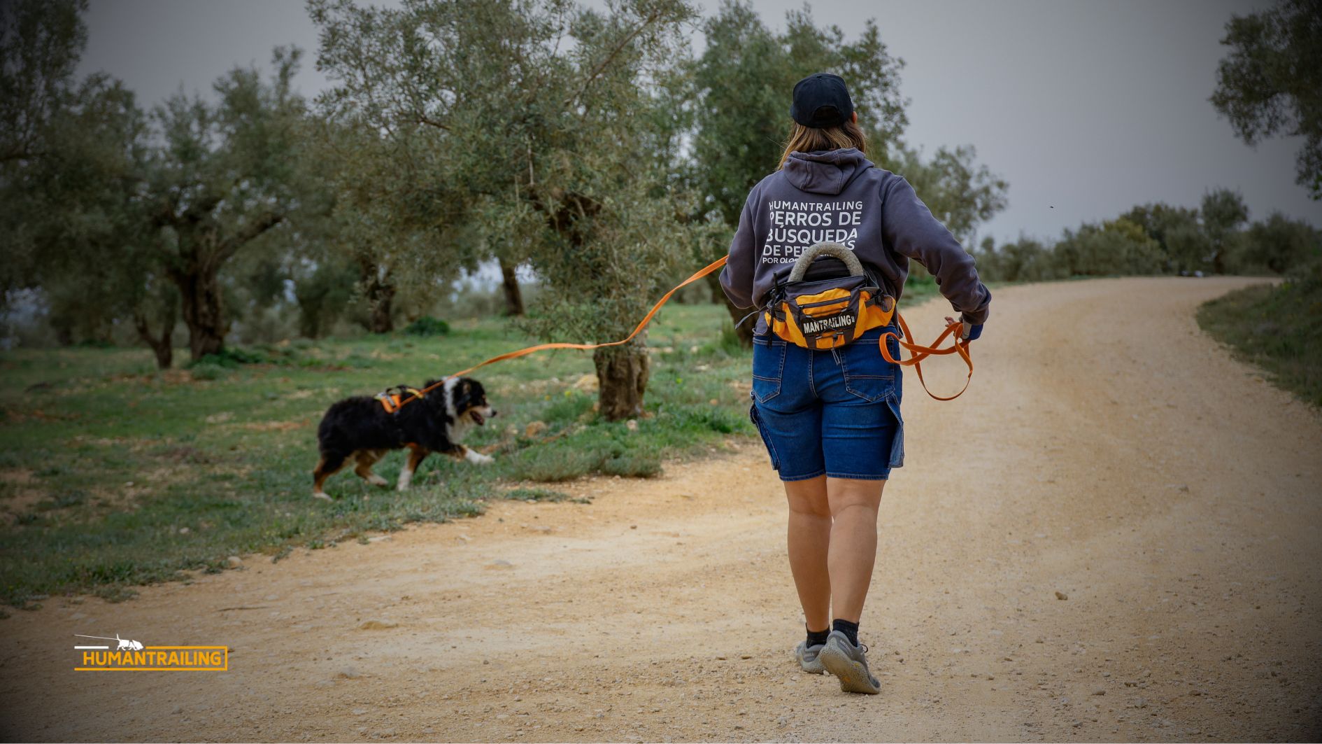 Glosario Completo de Mantrailing · Todos los Términos | Humantrailing