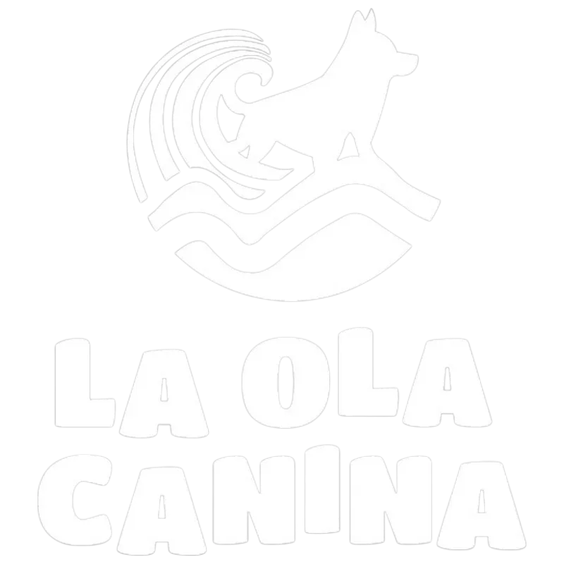 Mantrailing terapéutico beneficios perros reactivos Alicante