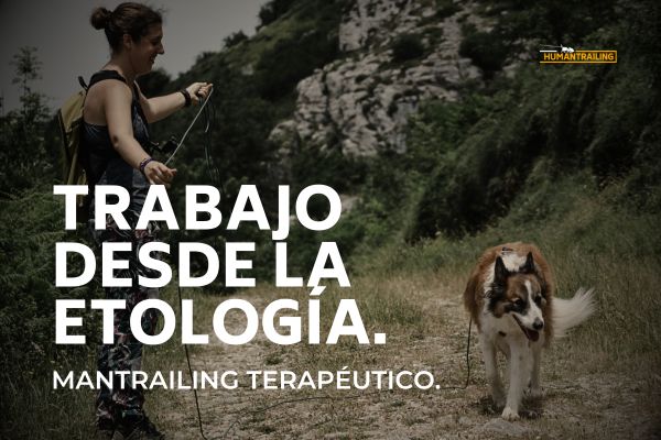 Mantrailing Terapéutico: El trabajo desde la etología.