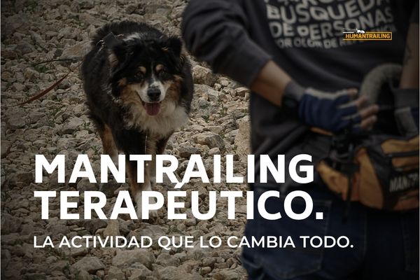 Mantrailing Terapéutico para perros reactivos en Alicante · Humantrailing