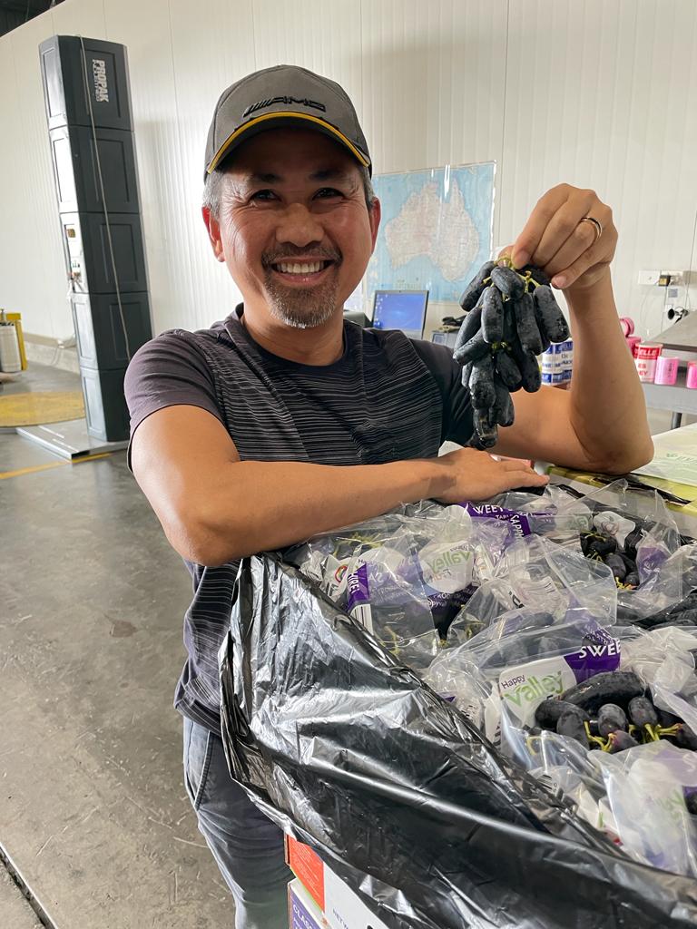 Cargo ship sails on calm water with bird flying.