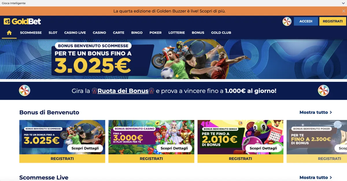 Esempio di Termini e Condizioni Bonus Quigioco