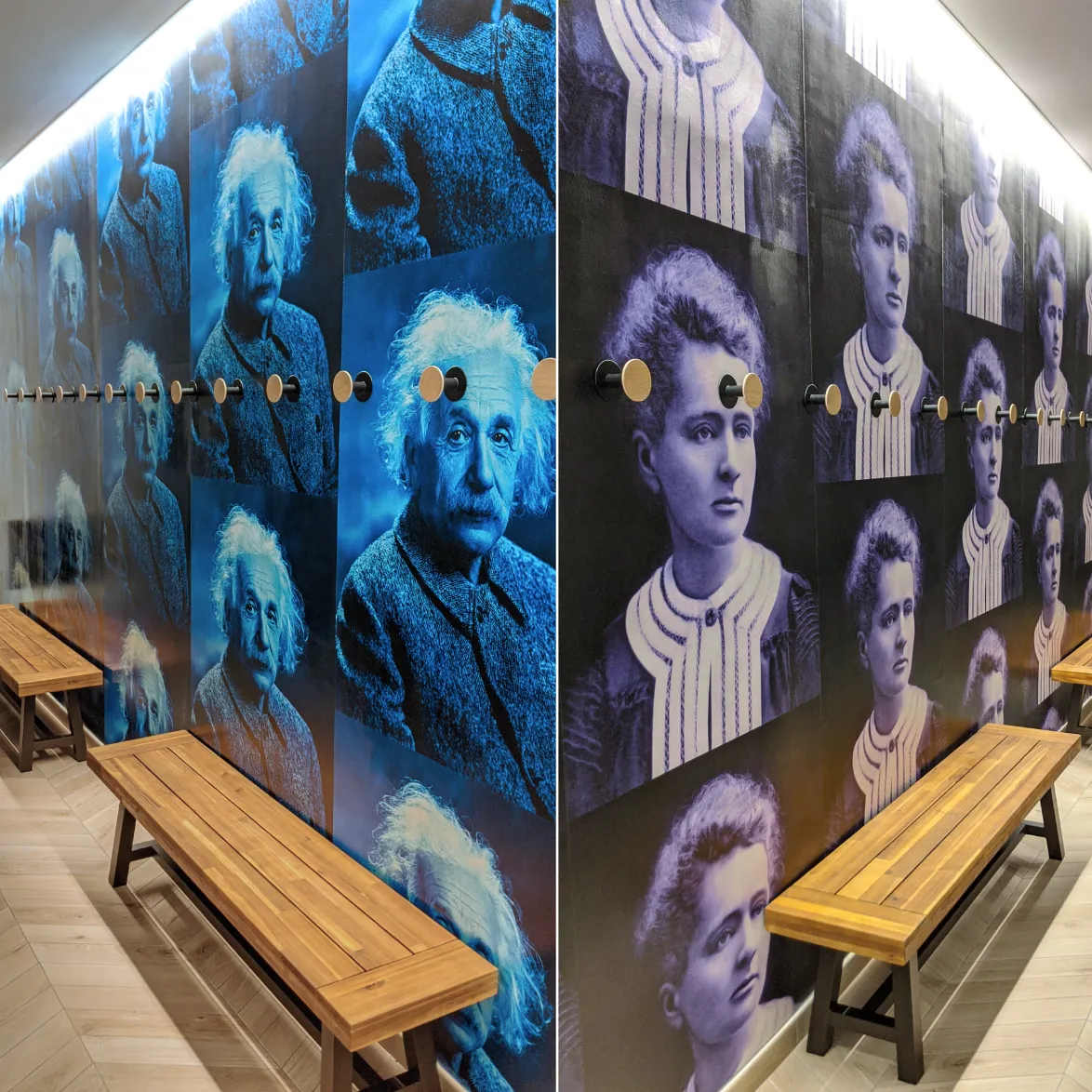 Large format wall mural printing installed in commercial interior by The Beacon Studio Winthrop MA