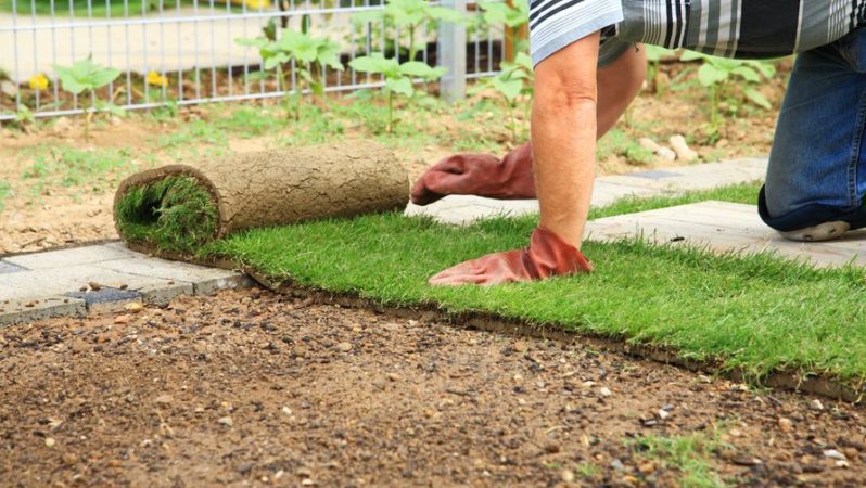 Landscaping & Hardscaping Buckeye AZ | Turf, Pavers & Design