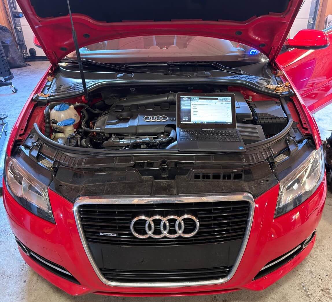 Service & Wartung Bern Minushi Auomoile