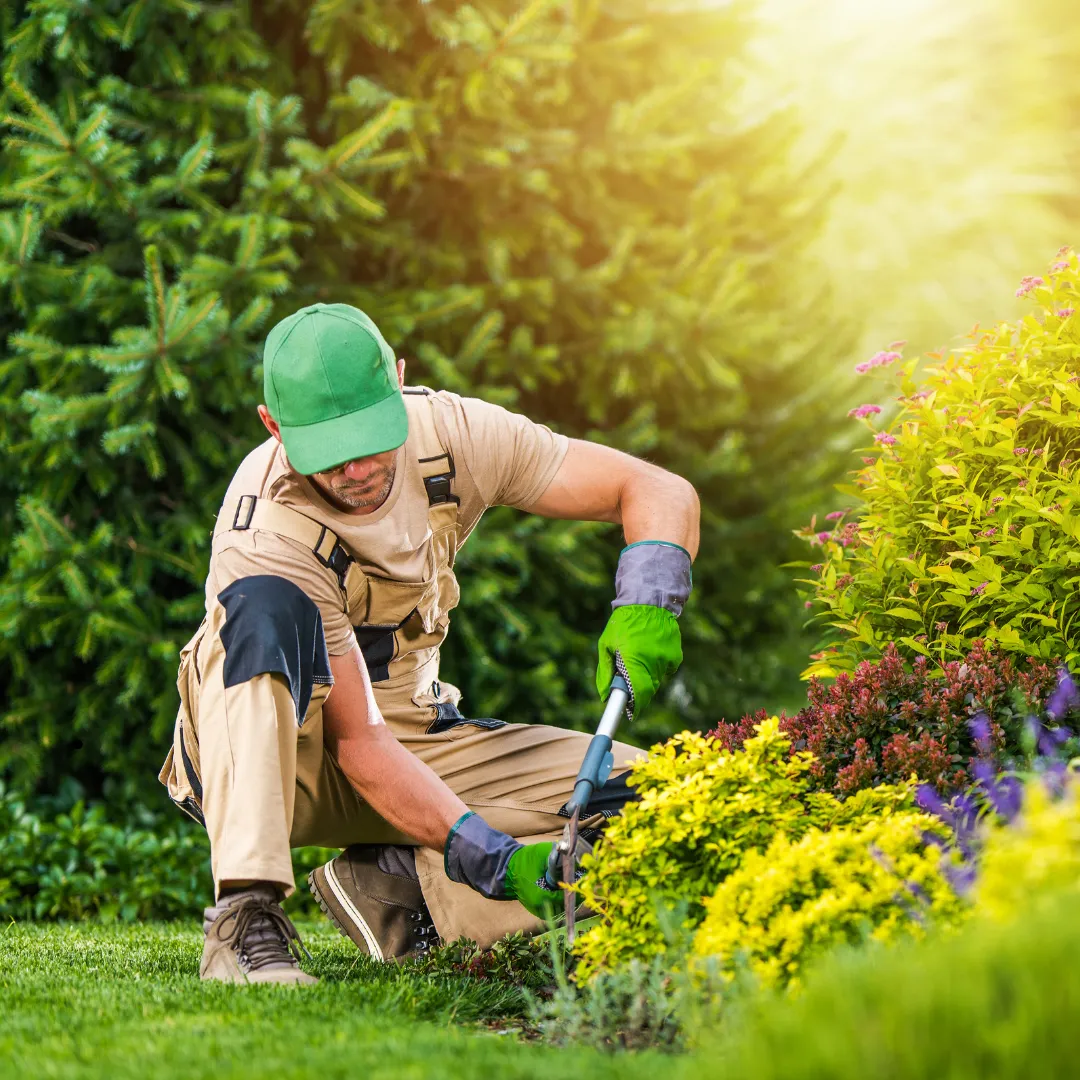 landscape gardener