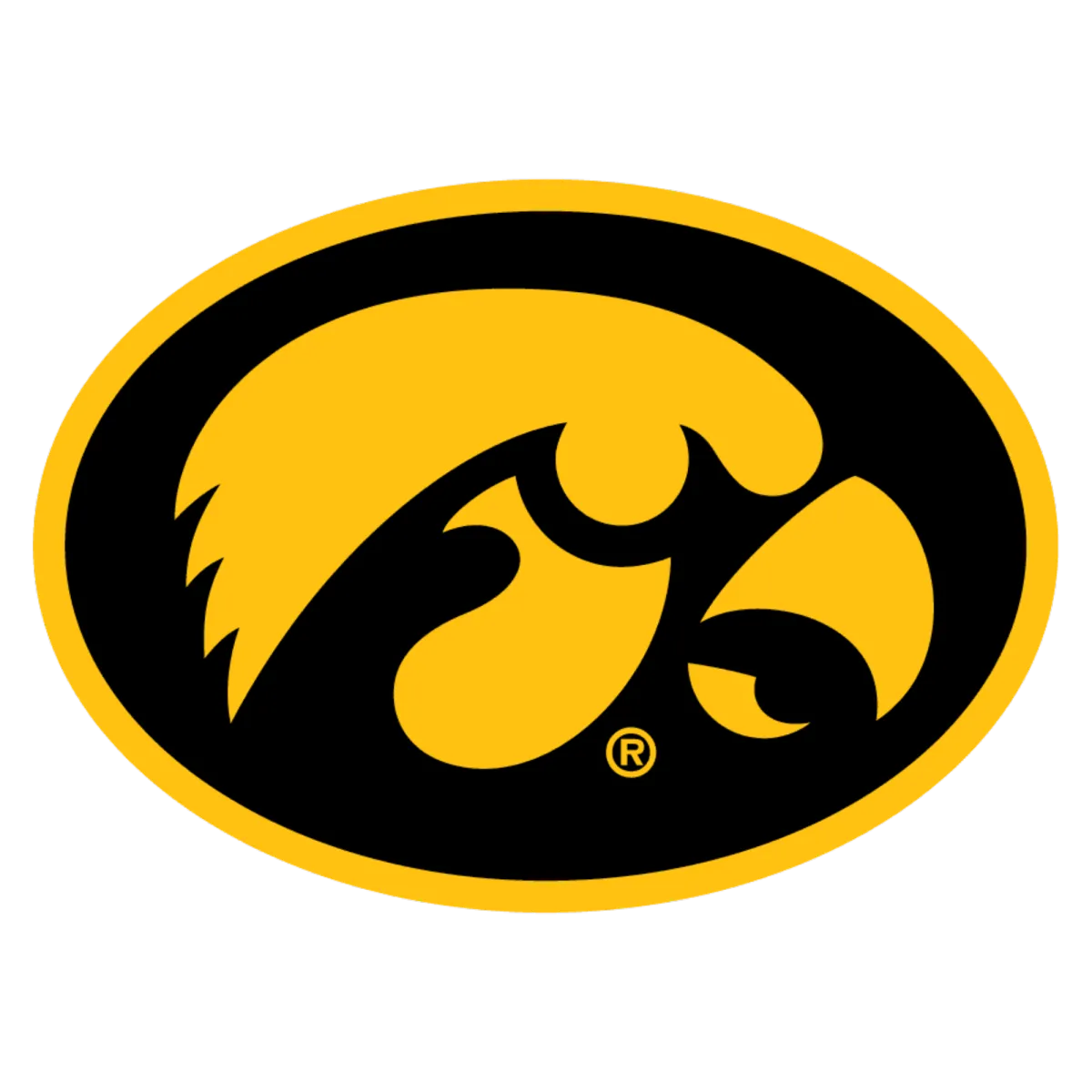 University of Iowa logo - Randy Andrews college entertainment client