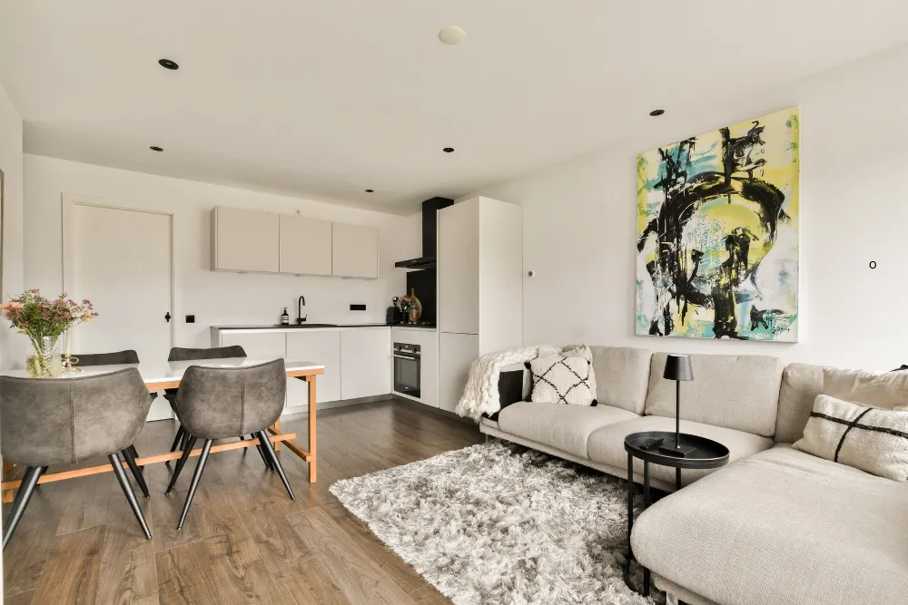 pre-urchase apartment inspections