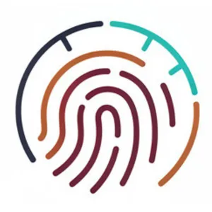 Audit & Assurance