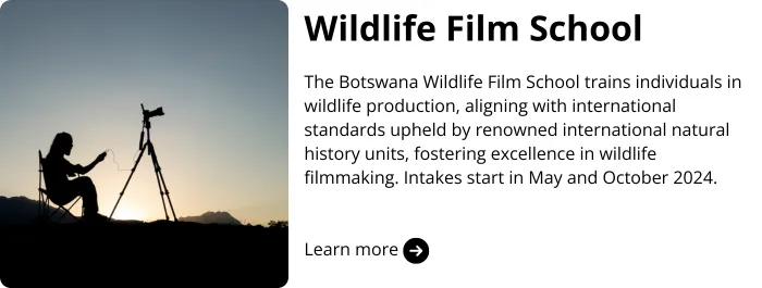 wildlife film school