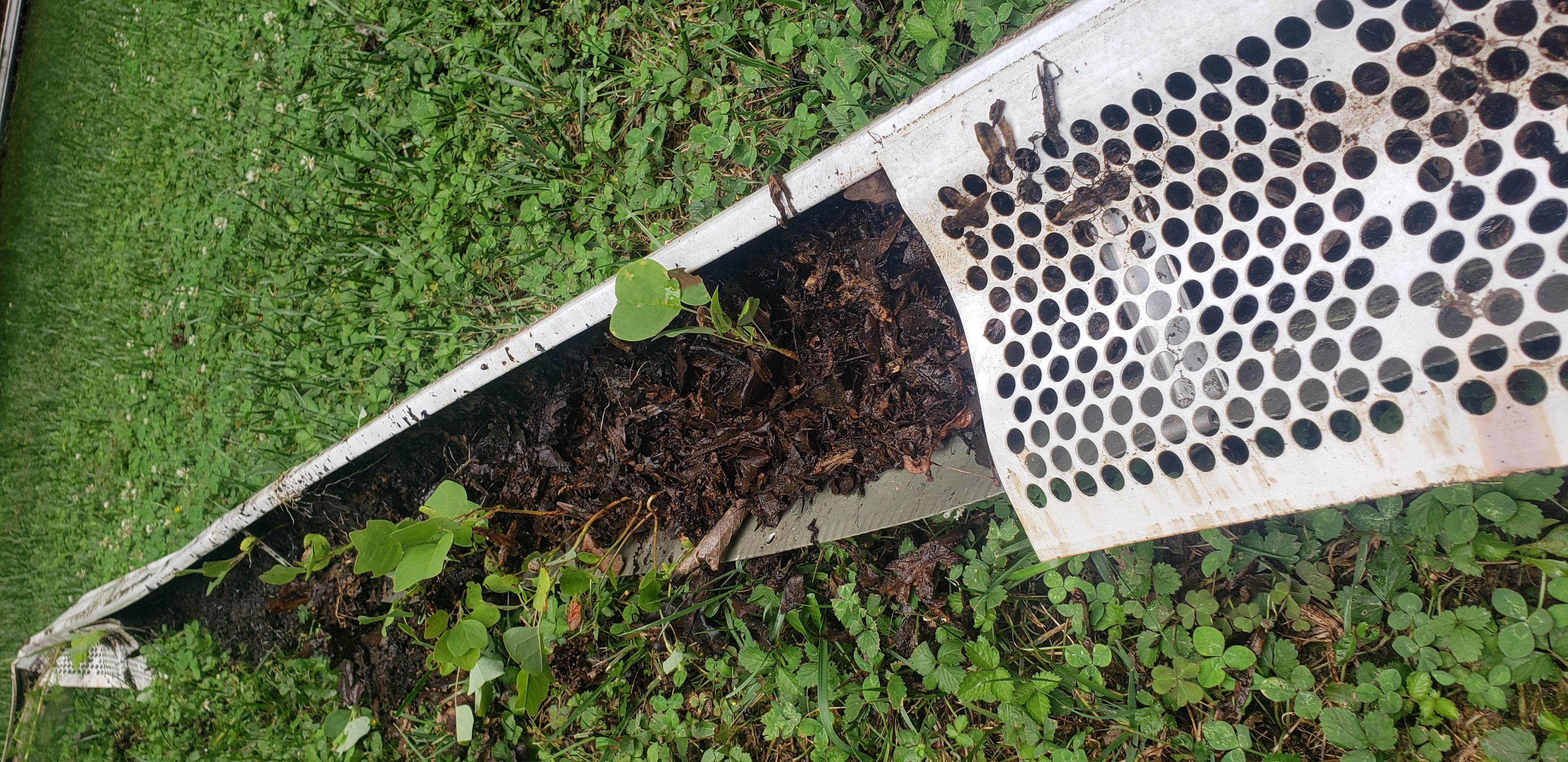 Gutter Guard Matthews NC