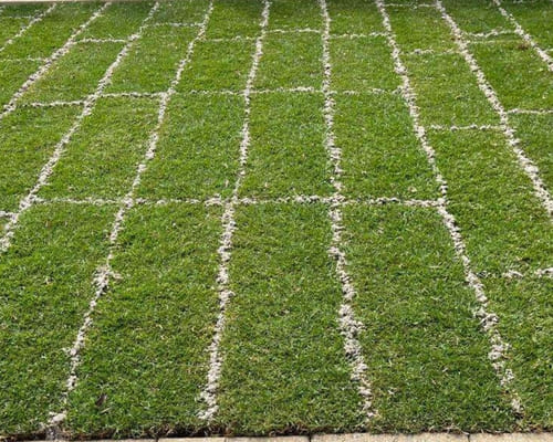 Real Grass Installation in Springvale