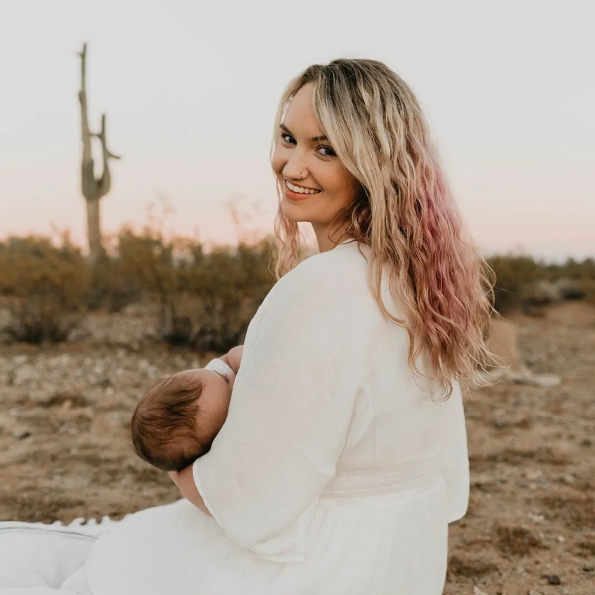 monarch butterfly perched on purple flower in close up photography during daytime
