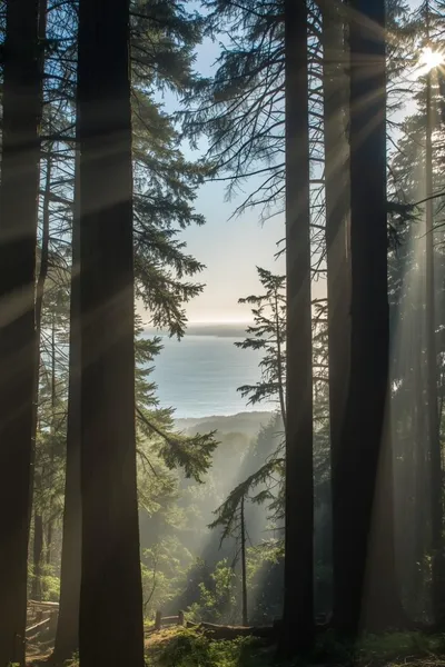 Humboldt County Best Kept Secret for Destination Weddings