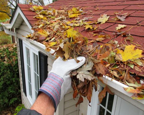 Longwood Gutter Cleaning