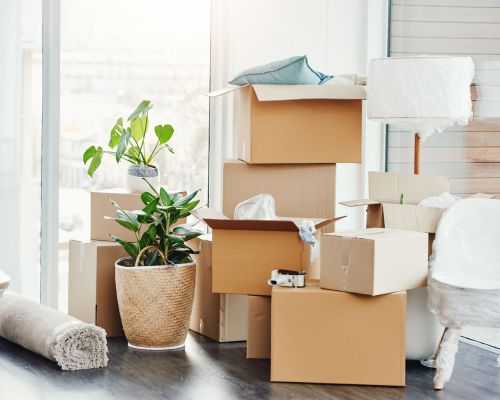 Longwood Move in/out Cleaning