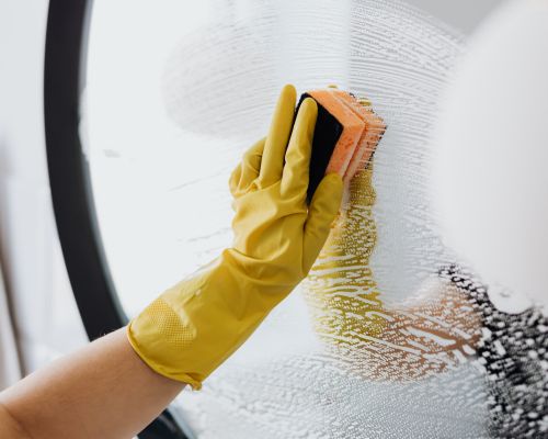 Longwood Move in/out Cleaning