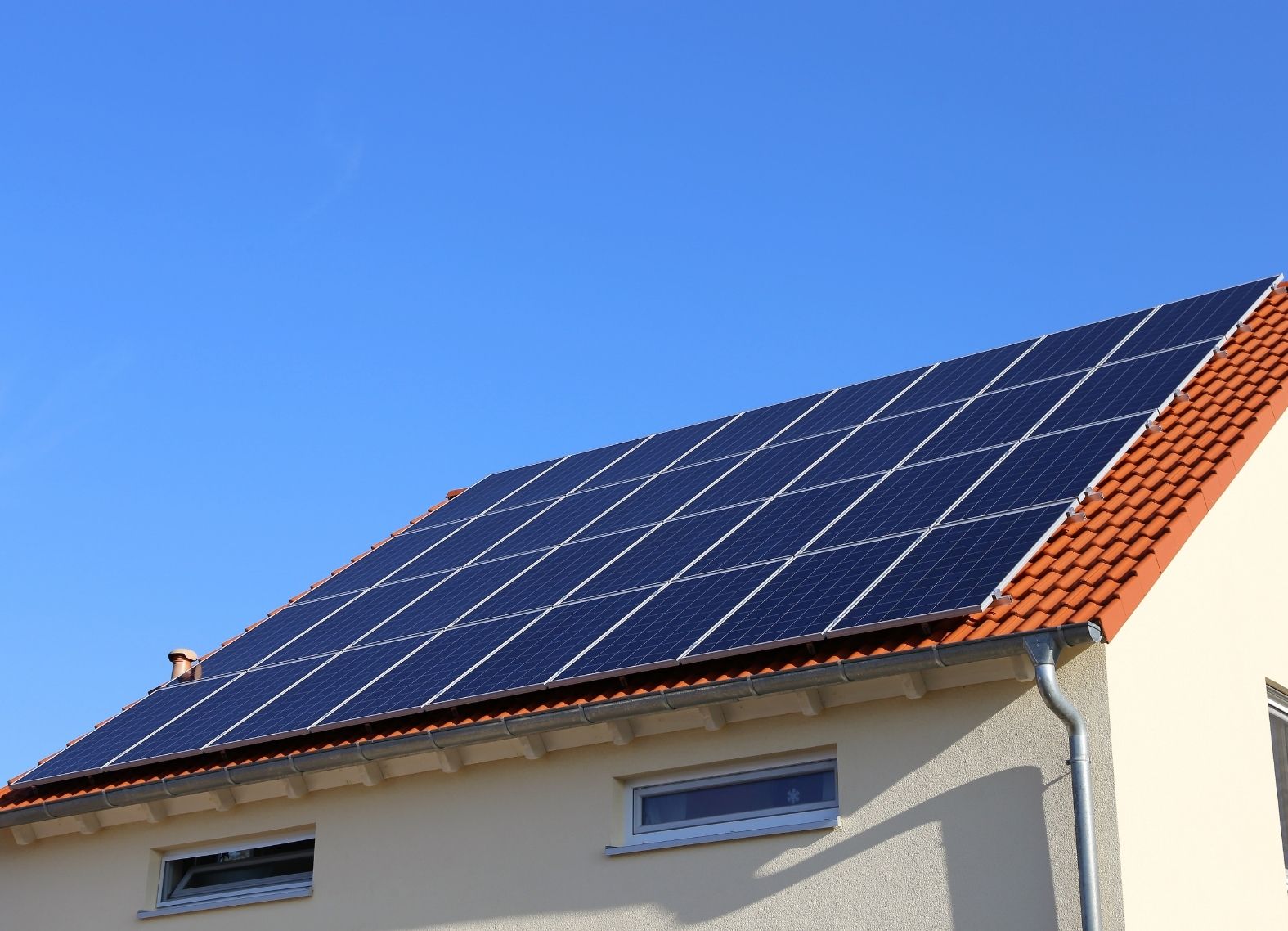 Longwood Car Detailing