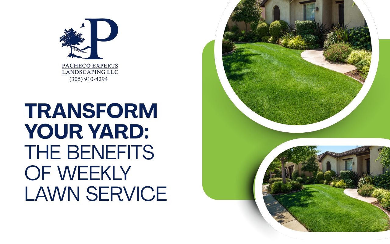 Transform Your Yard: The Benefits of Weekly Lawn Service
