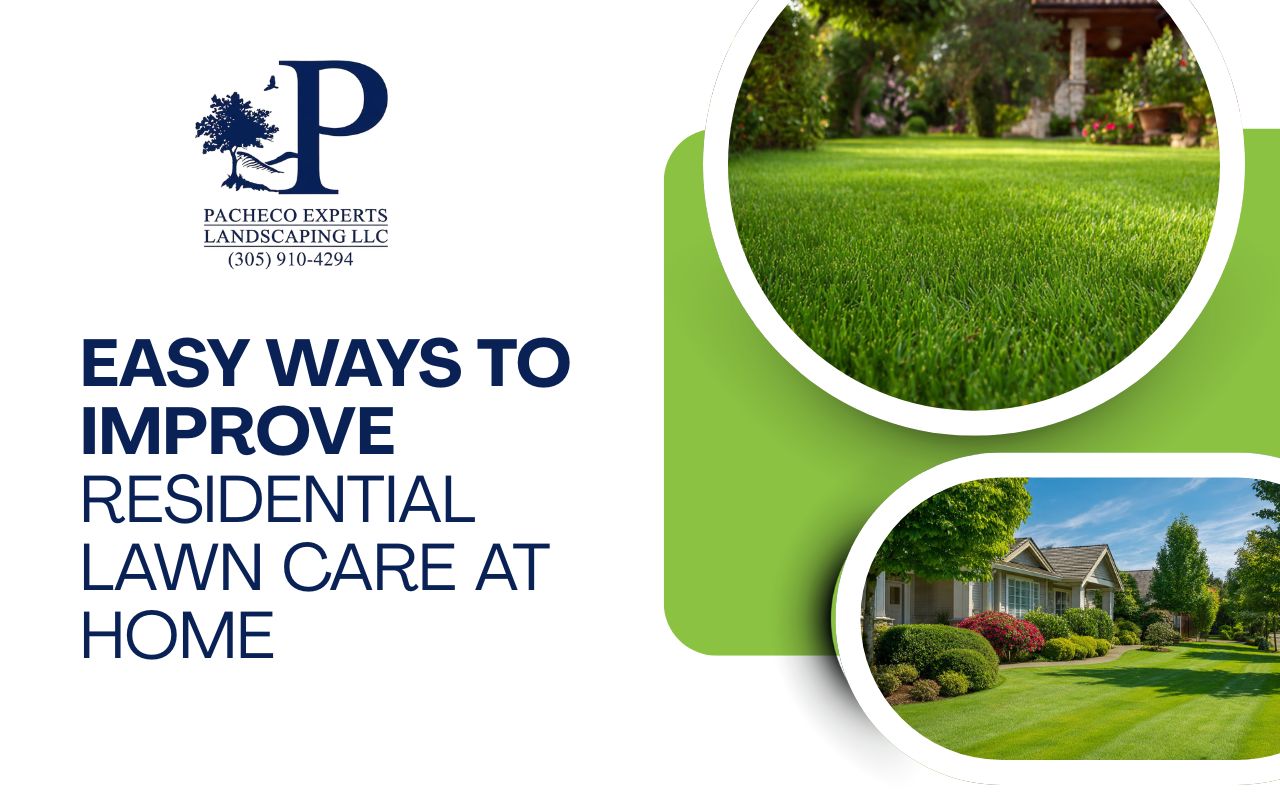 Easy Ways to Improve Residential Lawn Care at Home
