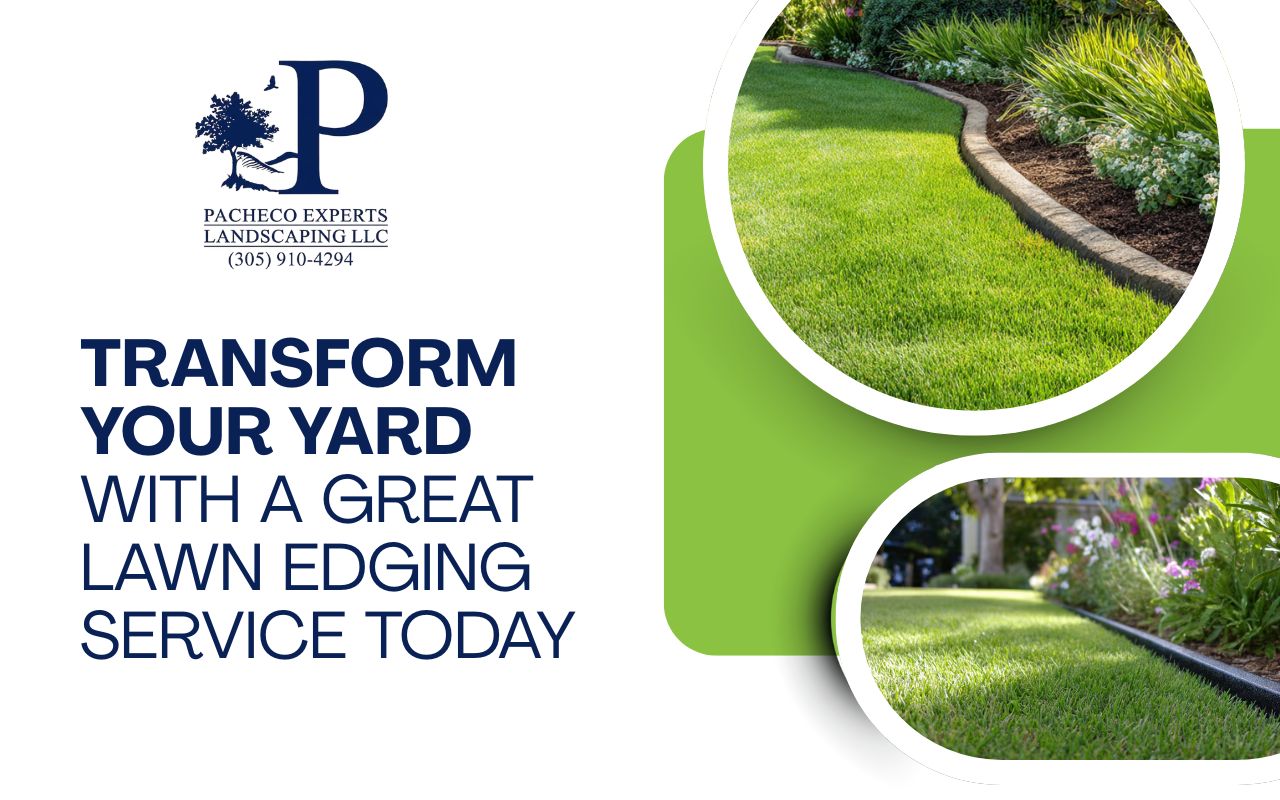 Transform Your Yard with a Great Lawn Edging Service Today