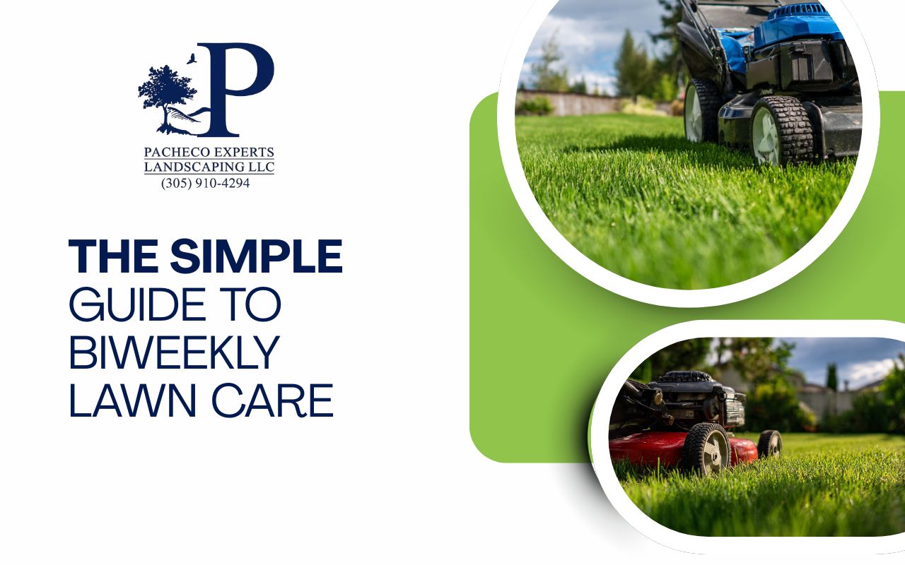 The Simple Guide to Biweekly Lawn Care