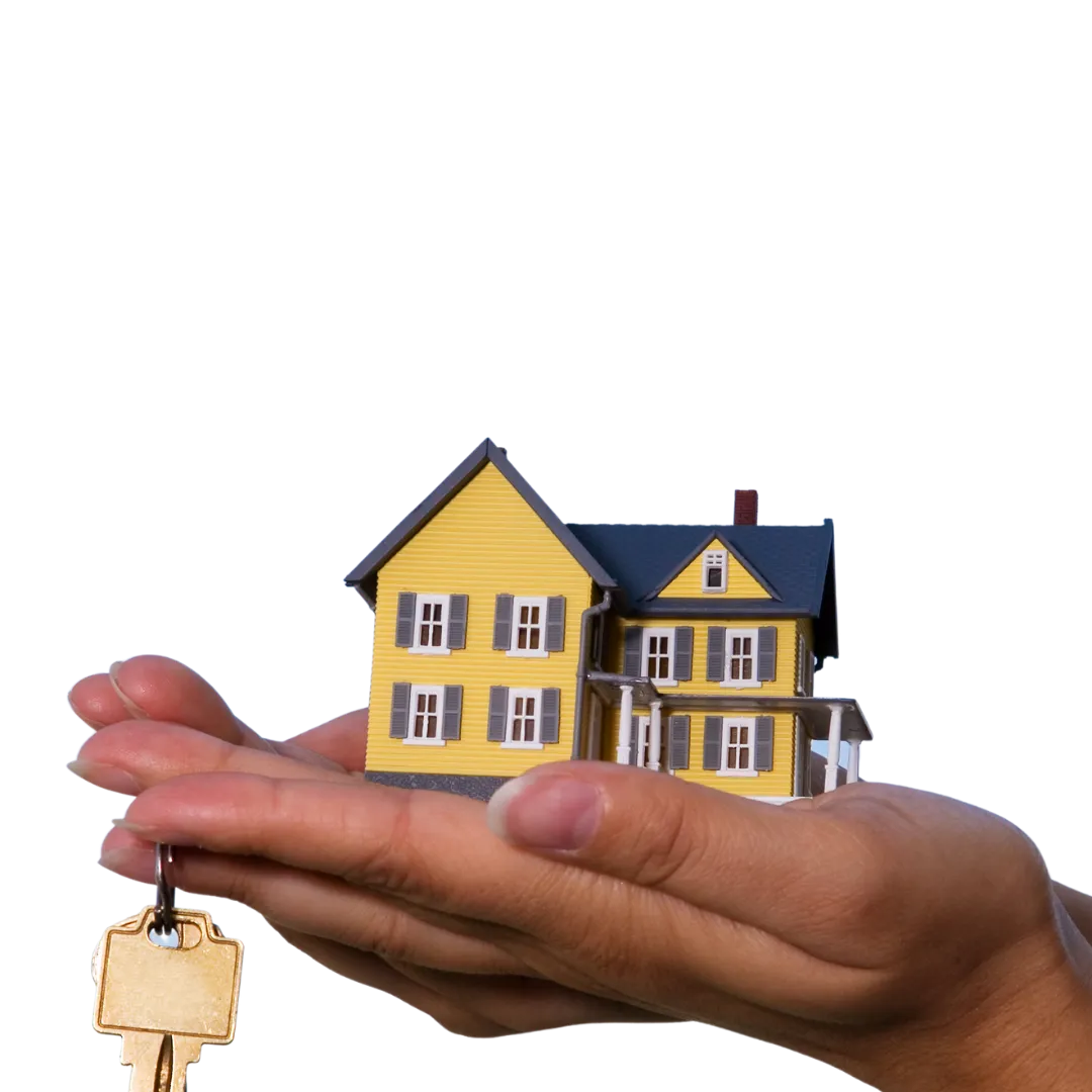 our solutions graphics