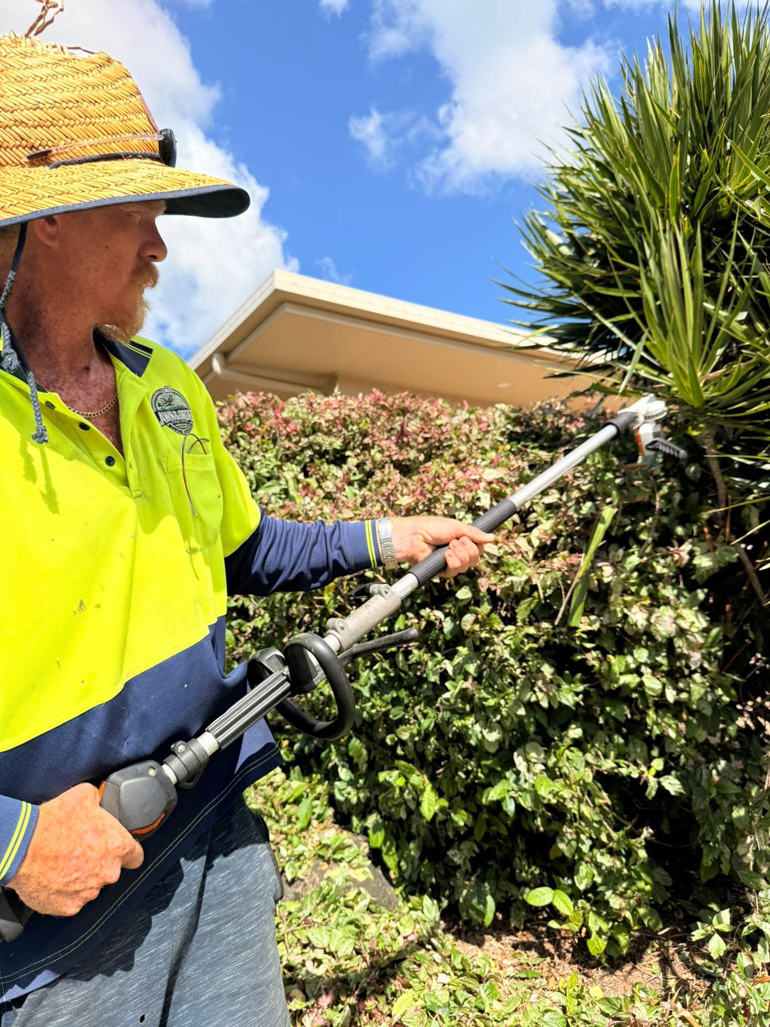 hedging services townsville qld commercial hedge care