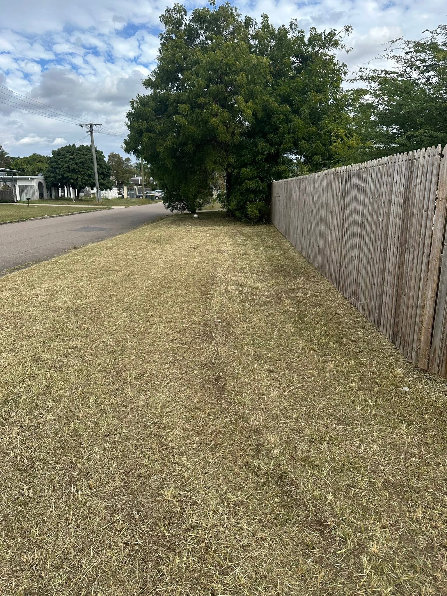 lawn mowing townsville qld professional mower in action