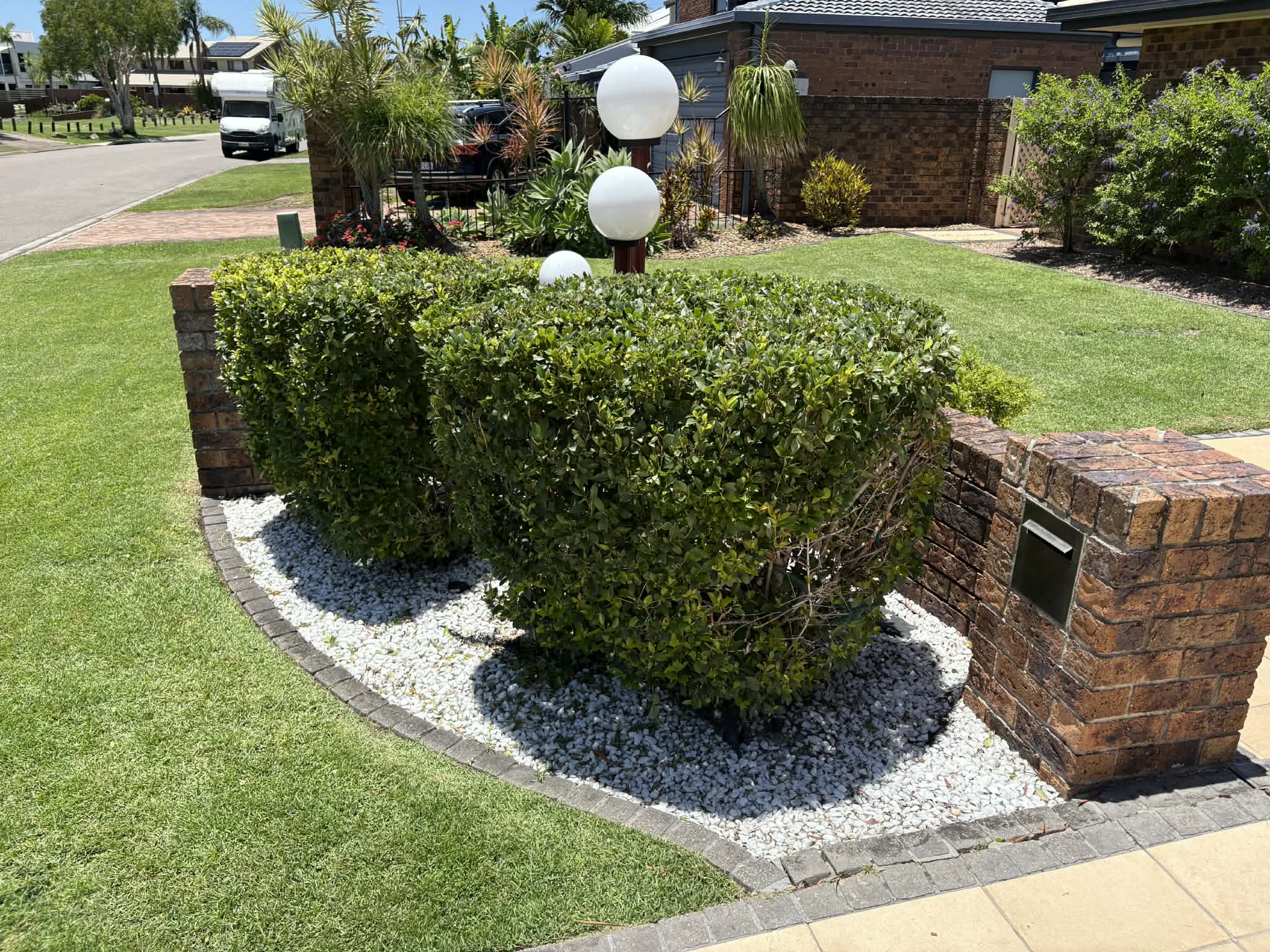 hedging services townsville qld shaped residential hedge