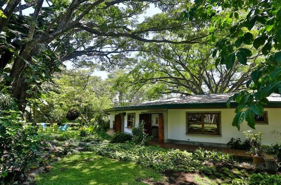 selective focus photo of brown cattle