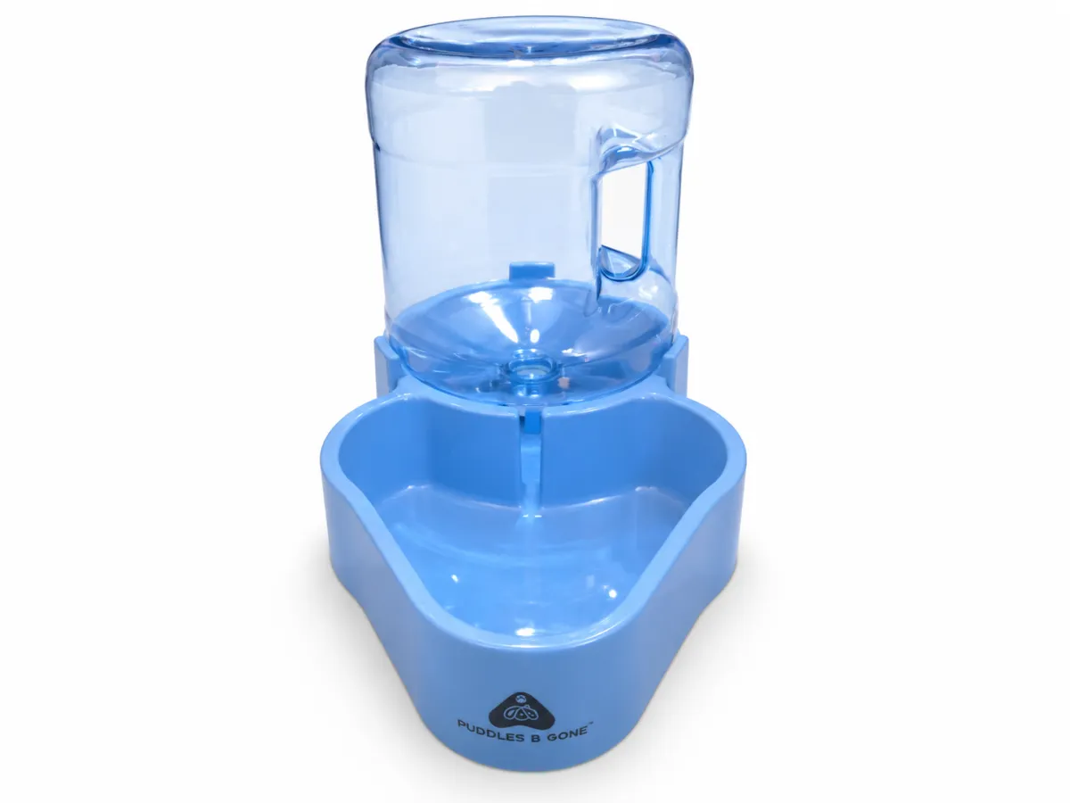 Updated blue Puddles B Gone waterer with jug, base, and matching cap on a white background