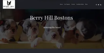 Dog Breeding website