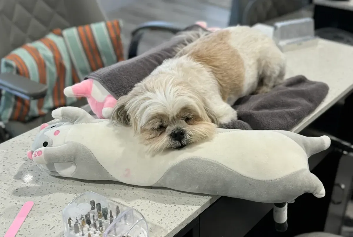 Best Nail Salon in San Gabriel