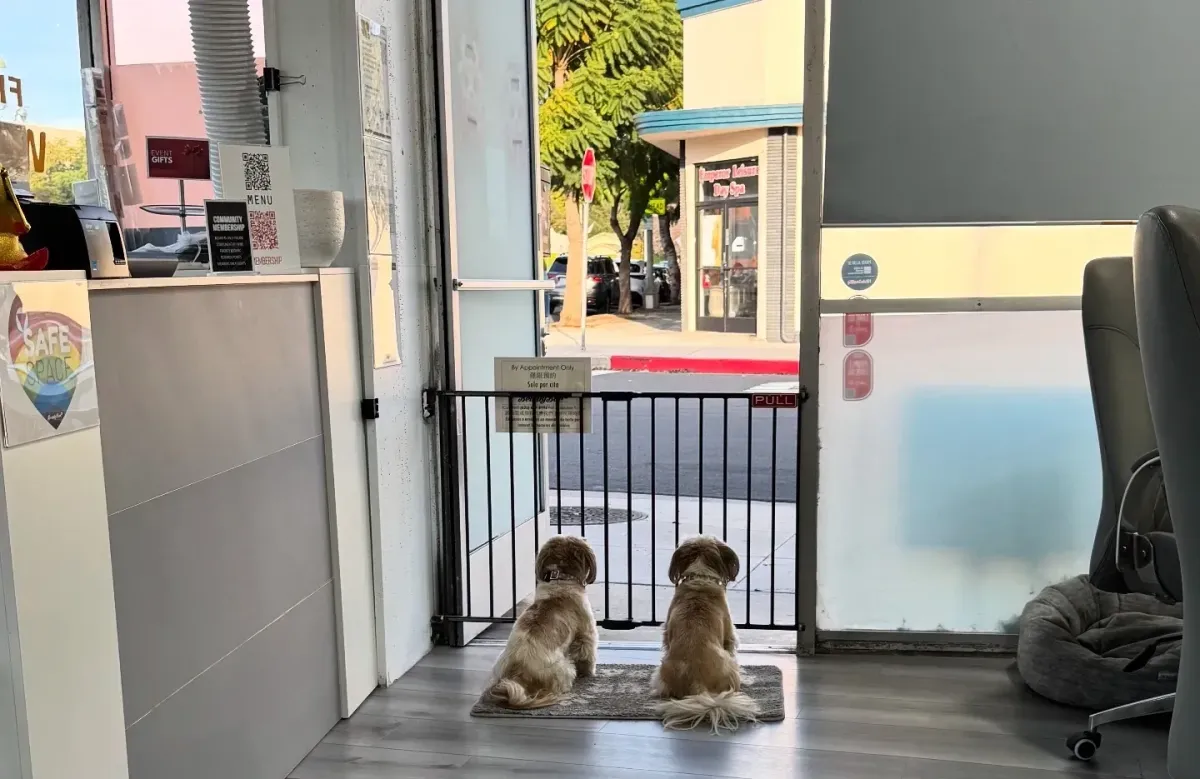 Can you tell we love to enjoy Karaoke in our sanctuary at BeautyBar SGV?