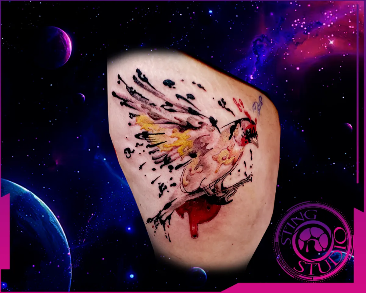 robin bird freehand tattoo