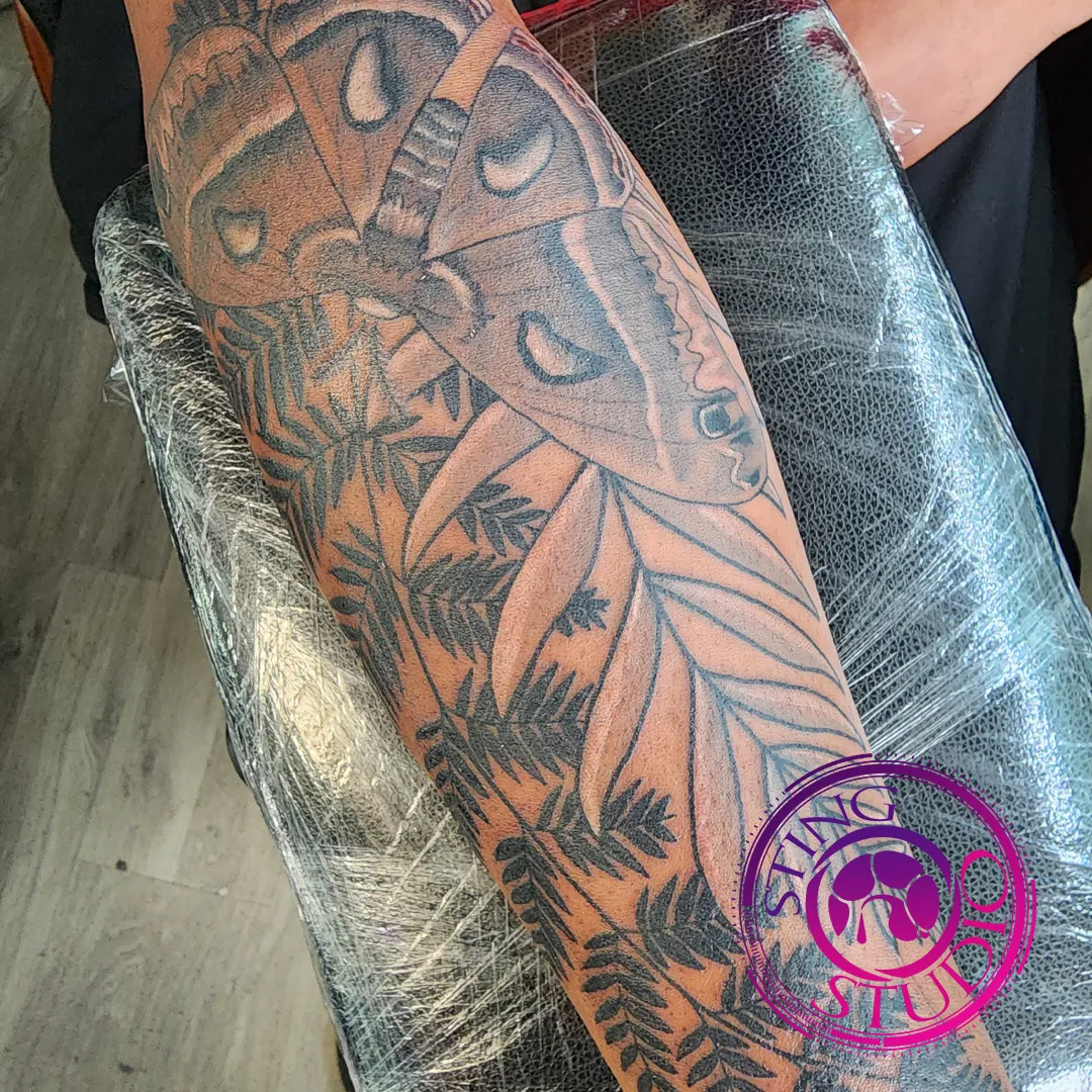 moth fern leaf tattoo