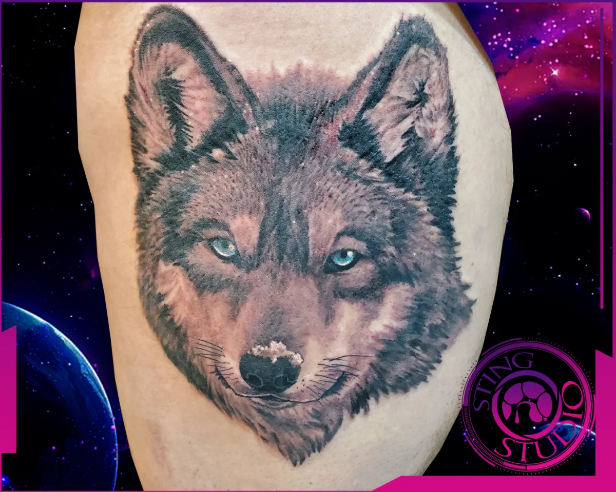 wolf tattoo