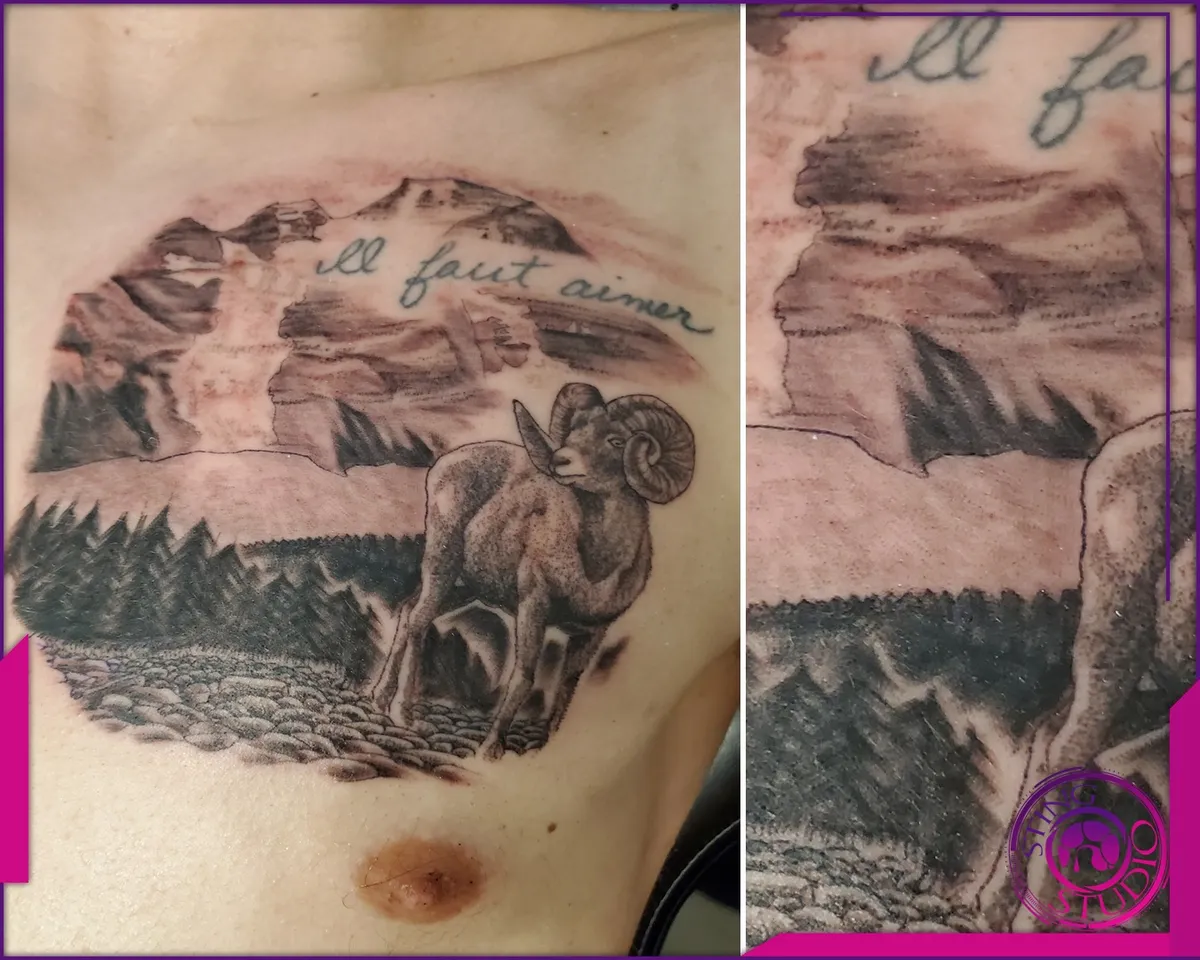 Black and grey tattoo by Sting Studio Ottawa