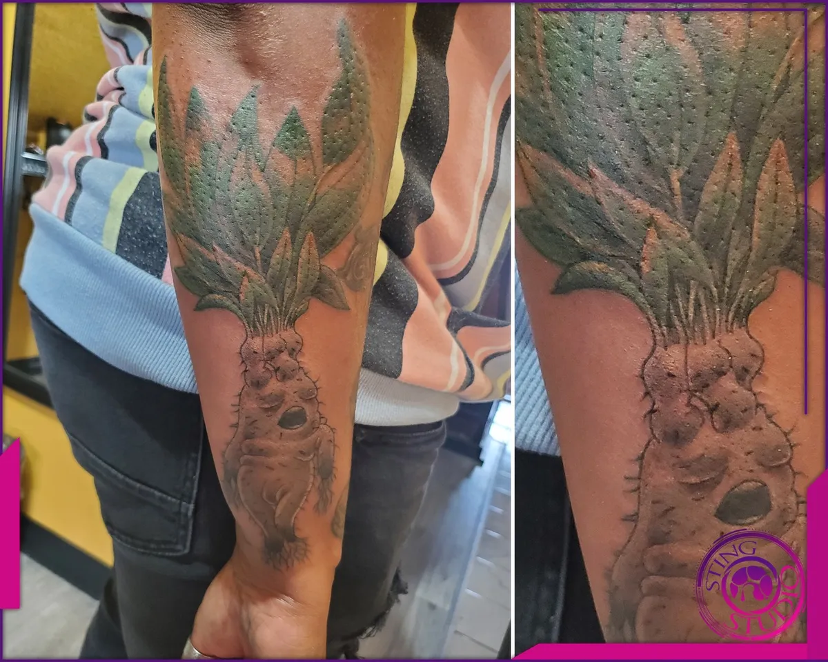 Colour tattoo by Sting Studio Ottawa
