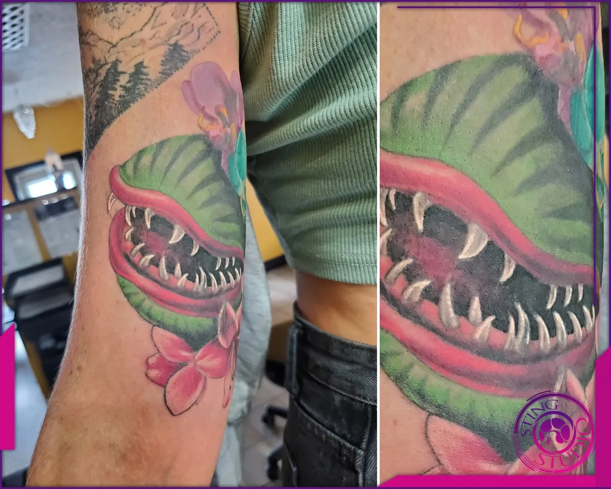 Colour tattoo by Sting Studio Ottawa