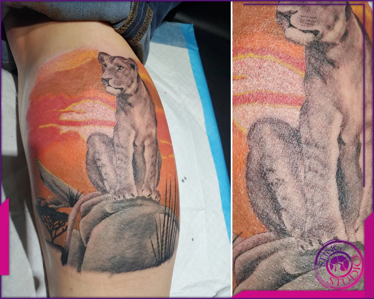 Colour tattoo by Sting Studio Ottawa
