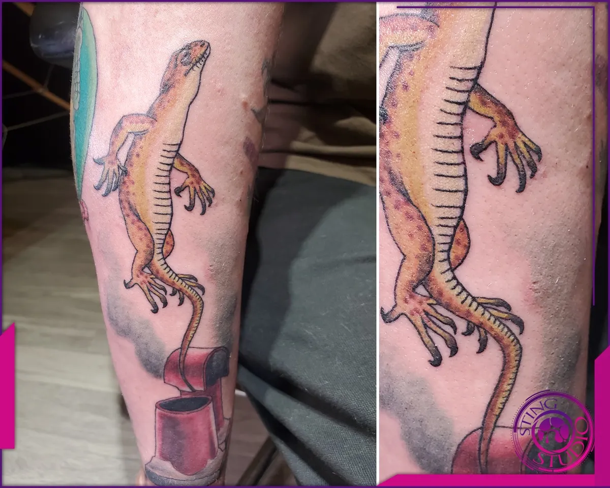 Colour tattoo by Sting Studio Ottawa