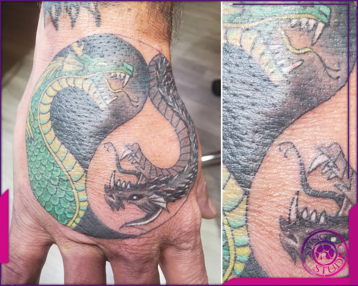 Colour tattoo by Sting Studio Ottawa