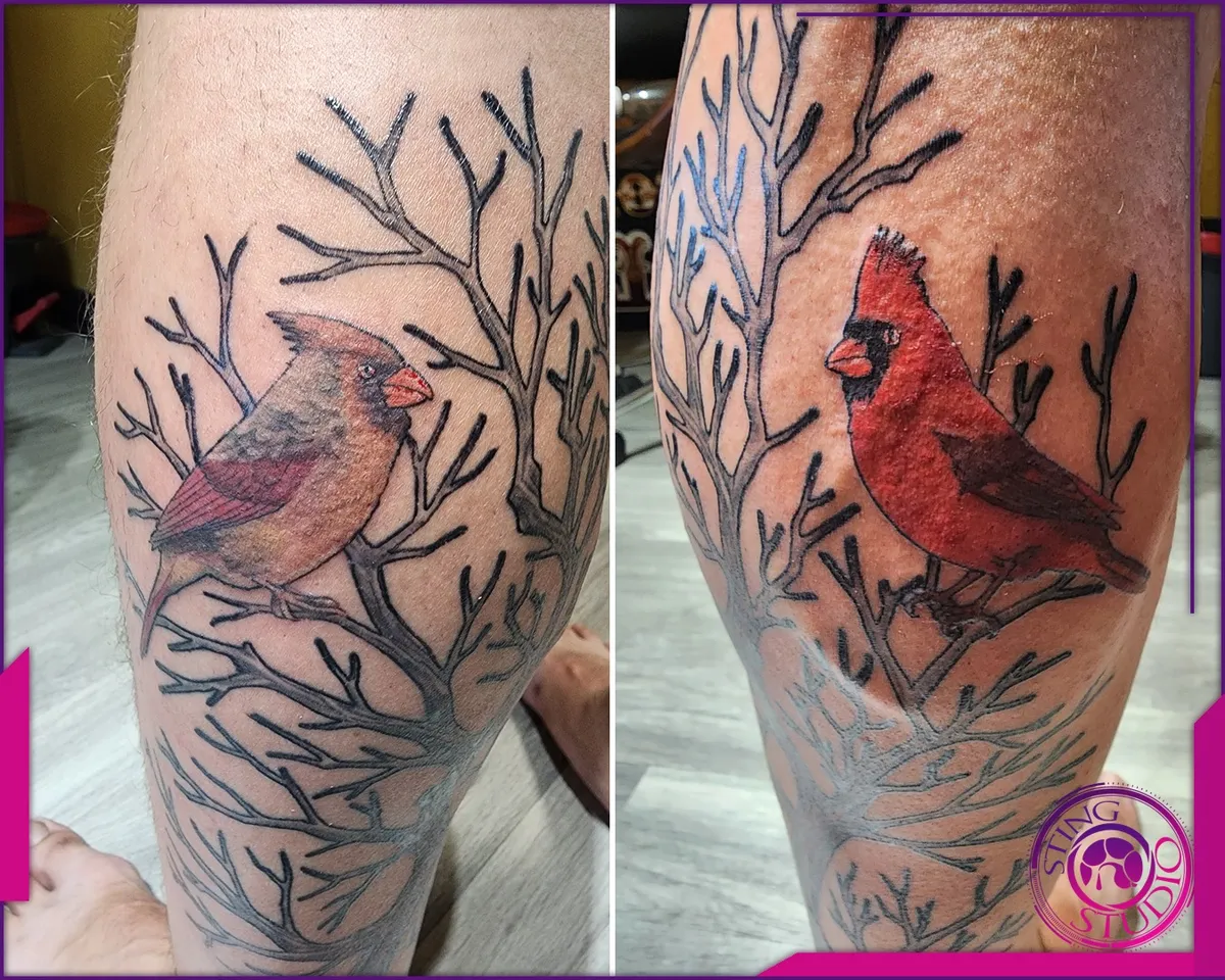 Colour tattoo by Sting Studio Ottawa