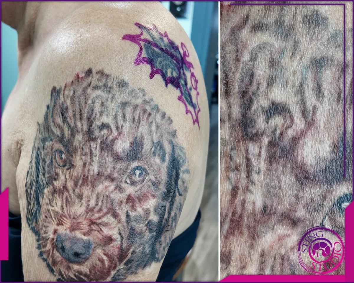Colour tattoo by Sting Studio Ottawa