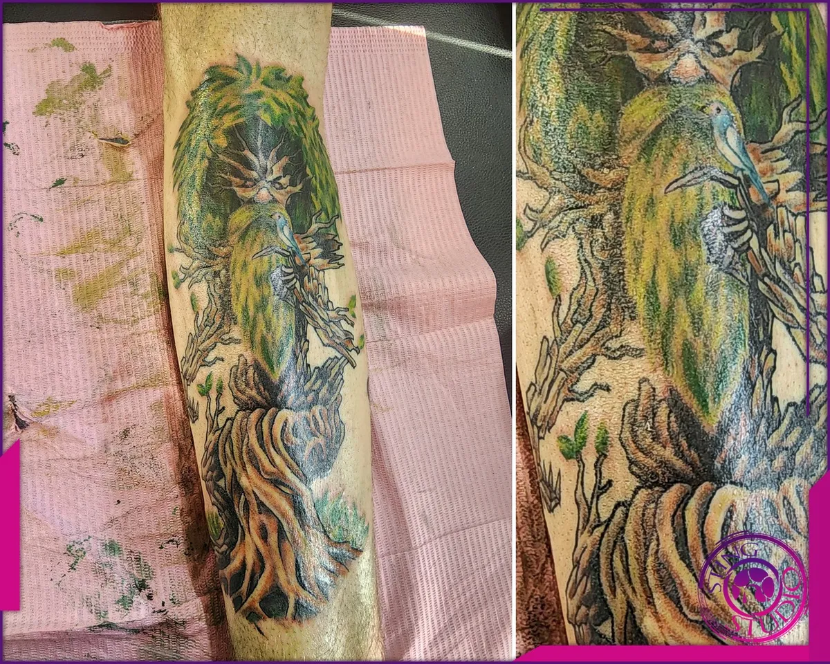 Colour tattoo by Sting Studio Ottawa