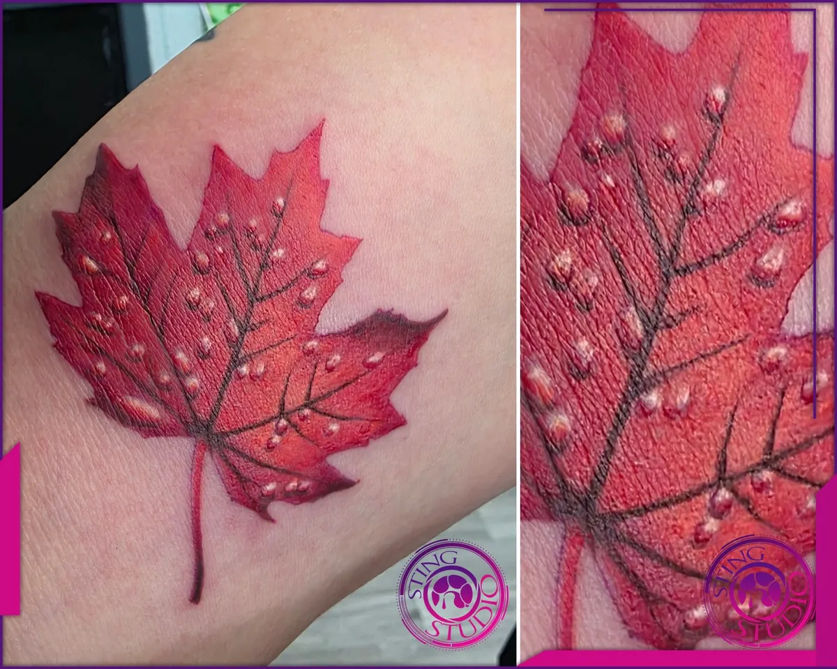 Colour tattoo by Sting Studio Ottawa