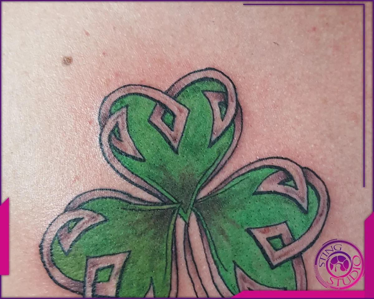 Tattoo by Sting Studio Ottawa, 2016-2018